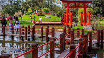 jardín japonés